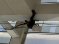 Limpieza de estructuras