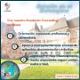 Academic Counseling