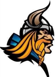 ACEROS VIKINGO