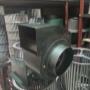 Caracol