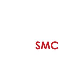 Servicios Y Reparacion De Patines Hidrahulicos Smc