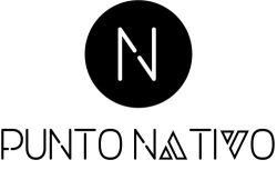 Punto Nativo Páginas Web & Marketing