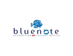 Blue Note Scuba