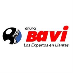Grupo Bavi Apatzingán