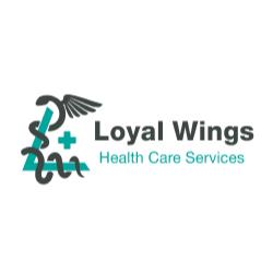Ambulancia Loyal Wings