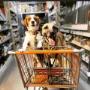 Yolita y Mango de compras