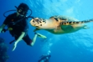 scuba cancun