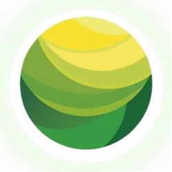 GreenSun Chihuahua
