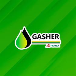 Gasher