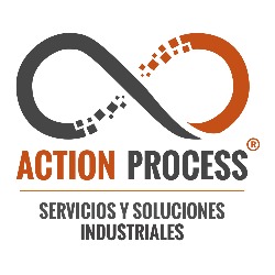 Action Process