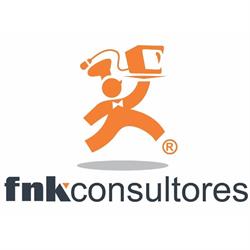 FNK Consultores