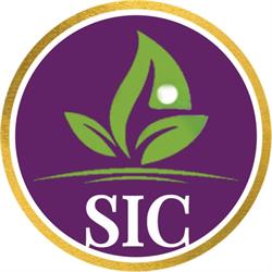Salud Integral Consciente