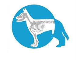 León Clínica Veterinaria