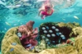 Snorkeling Tours