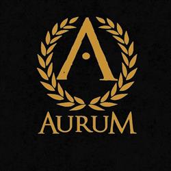 Aurum Tattoo & Supply