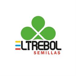 Semillas El Trébol - Texcoco