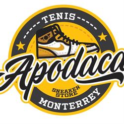 Tenis Monterrey Apodaca