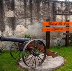 Fuerte de San Pedro de Gigedo