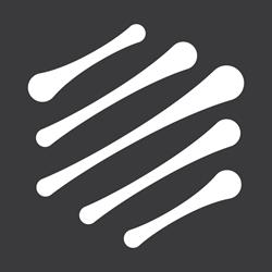 Grupo Regiomontano Carbino