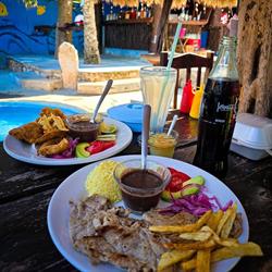 Casa de strellita