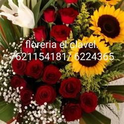 Floreria el clavel