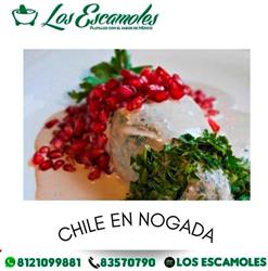 Los Escamoles
