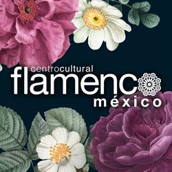 Centro Cultural Flamenco México