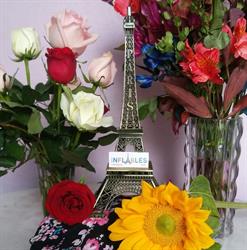 Inflables y Rockolas Paris