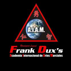 Academia Internacional De Artes Marciales
