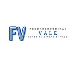 Ferroelectricas Vale