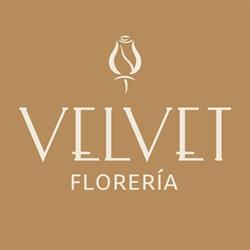 Velvet Florería