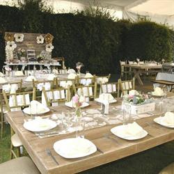 Salon y Jardín Kasino