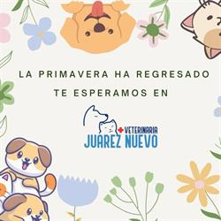 Veterinaria Juárez Nuevo