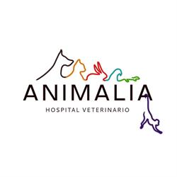 Animalia Hospital Veterinario de Animales Exóticos