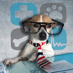 Canito Clínica Veterinaria