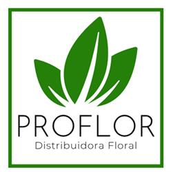 Distribuidora de Flor Cd Juarez PROFLOR