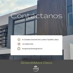 Green & More