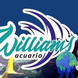 Acuario Williams Suc Cualtlancingo