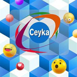 Corporativo Ceyka