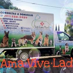 Vet Care Movil