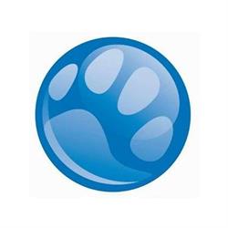 I-Vet Animal Center