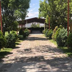 Palapa Camino Real