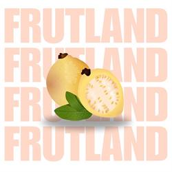Fl Grupo / Frutland - Sucursal Aguascalientes