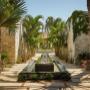 A pathway lined with palm trees leading to a luxury spa.