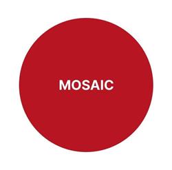 Mosaic México