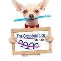 THE ORTHODONTIC CO. MÉRIDA, YUC.