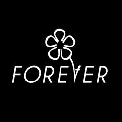 Forever Jeans
