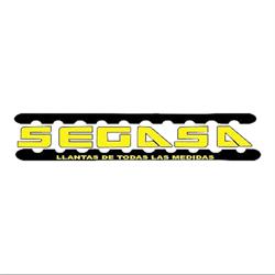 Taller Mecánico Segasa Palmas Pro1One