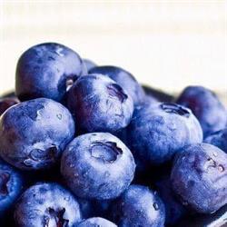 Berries Club Fest