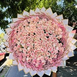 PARAISO FLORAL